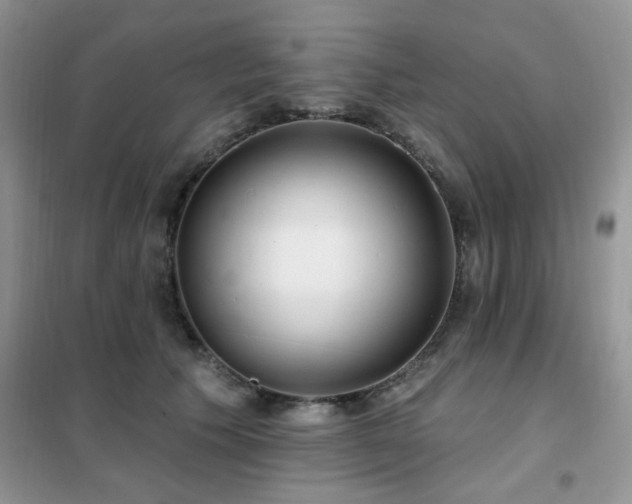 X0000102350609200808011205