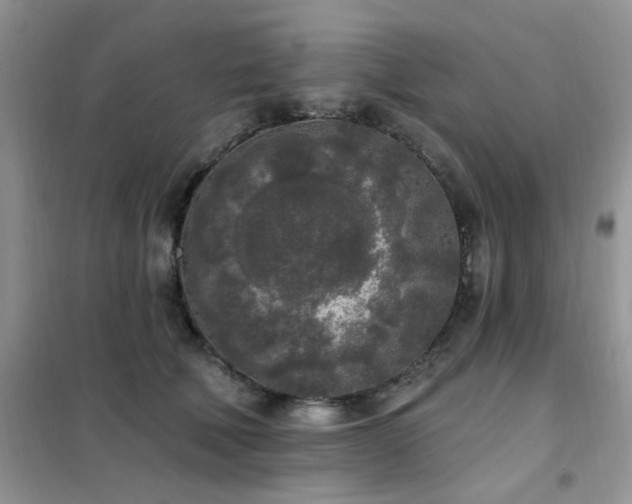 X0000102350610200808011205