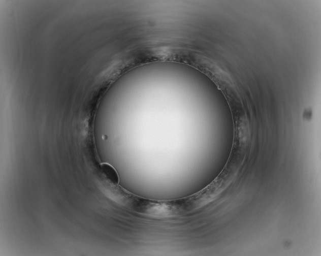 X0000102350611200808011205