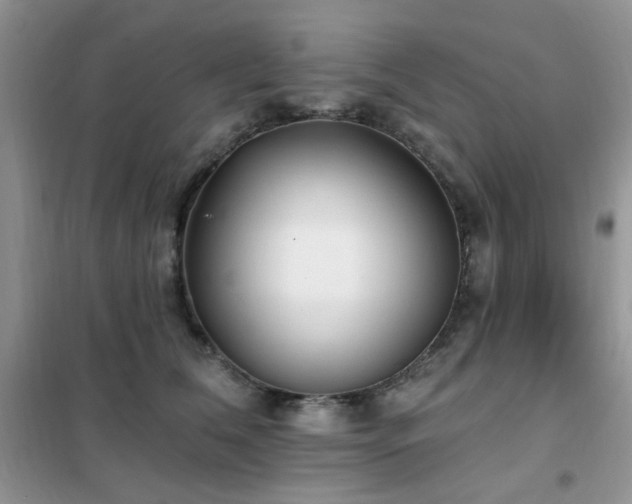 X0000102350612200808011205