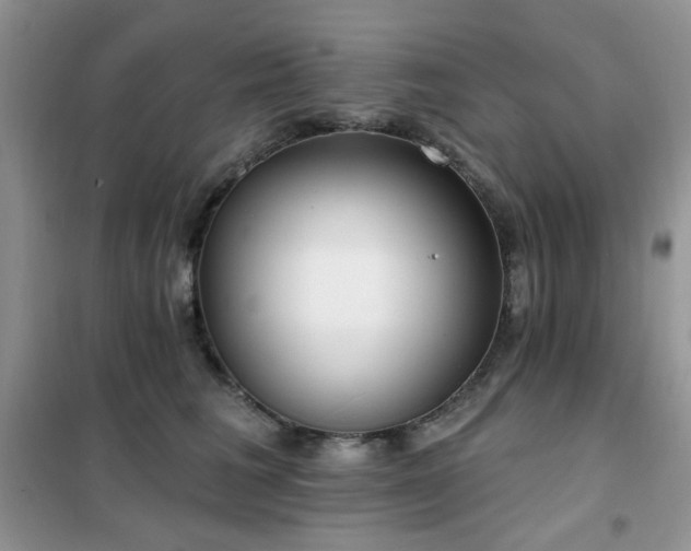 X0000102350613200808011205