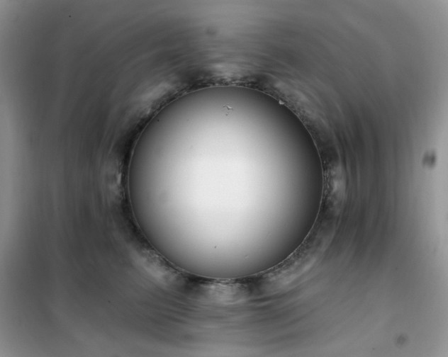 X0000102350615200808011205