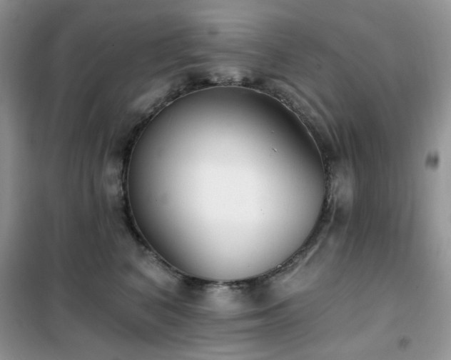 X0000102350616200808011205