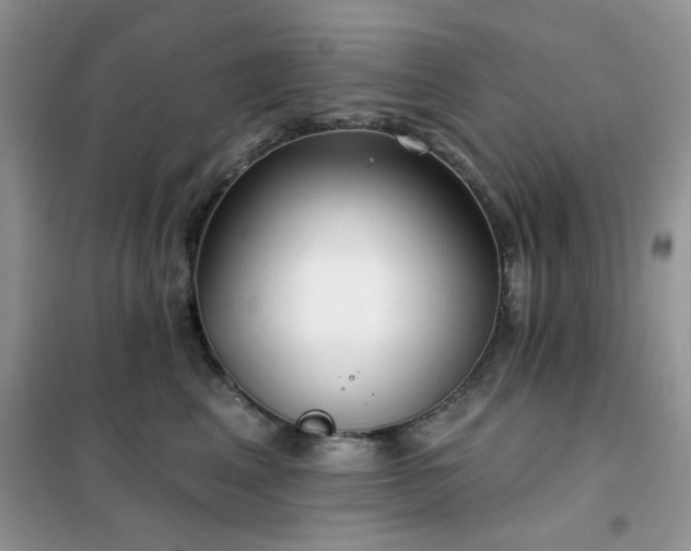 X0000102350617200808011205