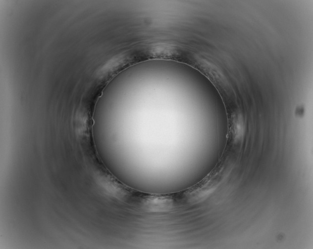 X0000102350619200808011205