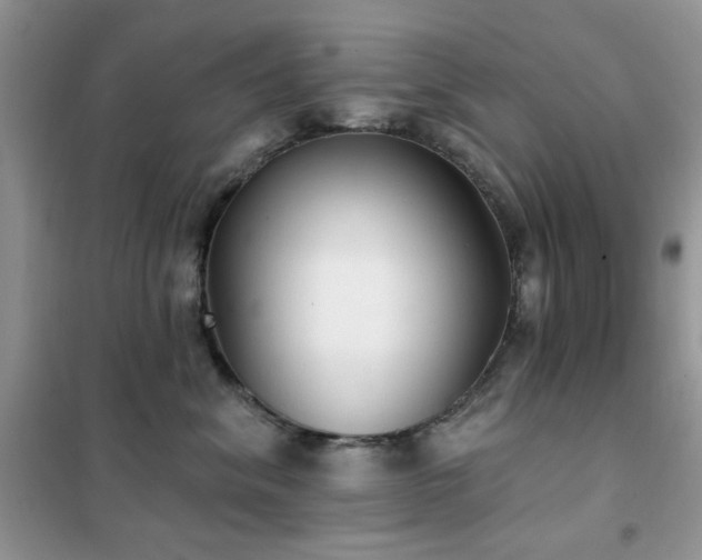 X0000102350620200808011205