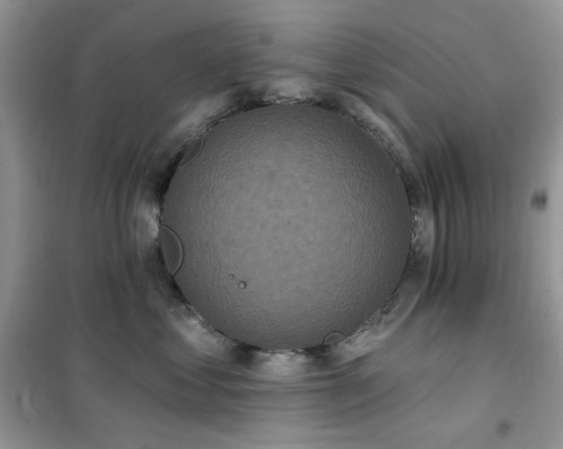 X0000102350621200808011205