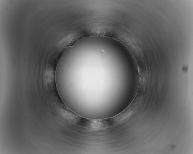 X0000102350623200808011205