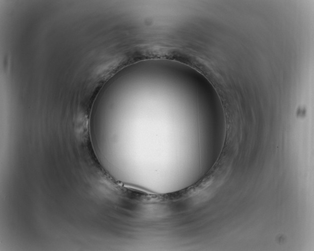 X0000102350624200808011205