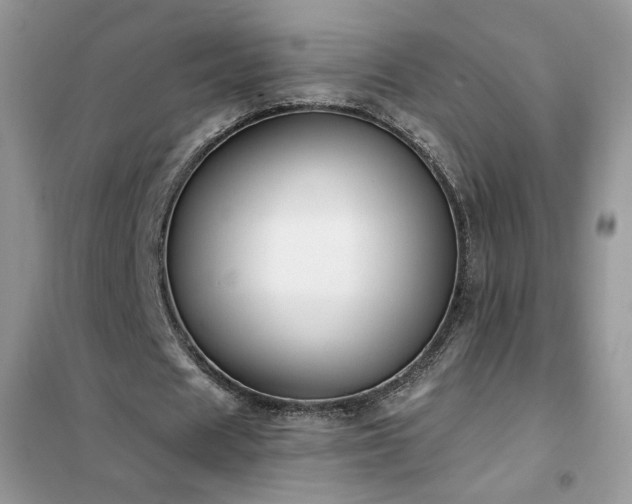 X0000102350625200808011204