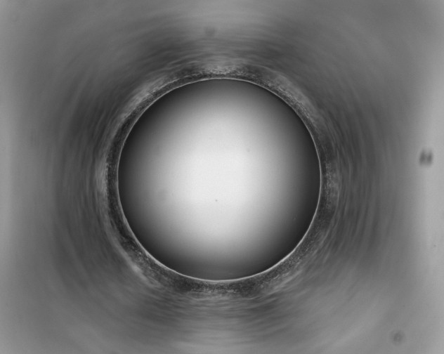 X0000102350626200808011205