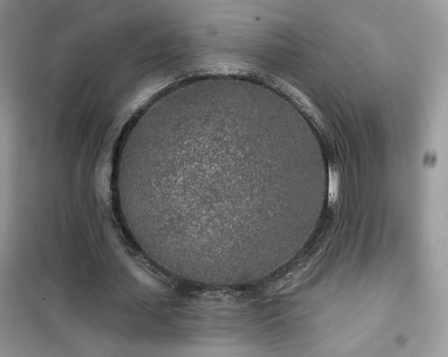 X0000102350627200808011205