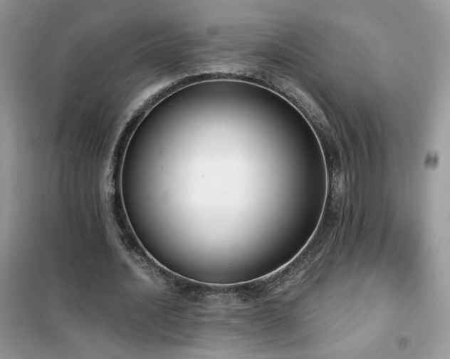 X0000102350628200808011205