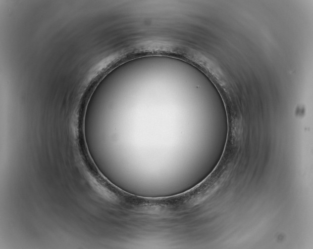 X0000102350629200808011205