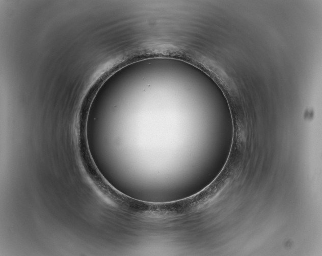 X0000102350630200808011205