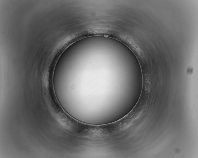 X0000102350631200808011205