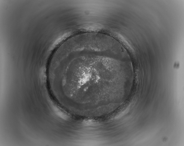 X0000102350634200808011205