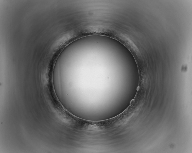 X0000102350635200808011205