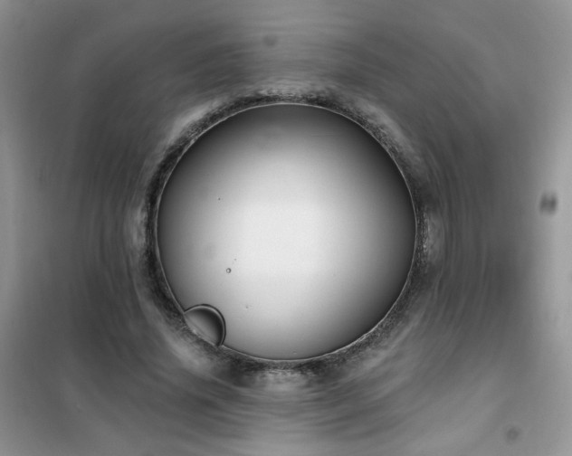 X0000102350636200808011205