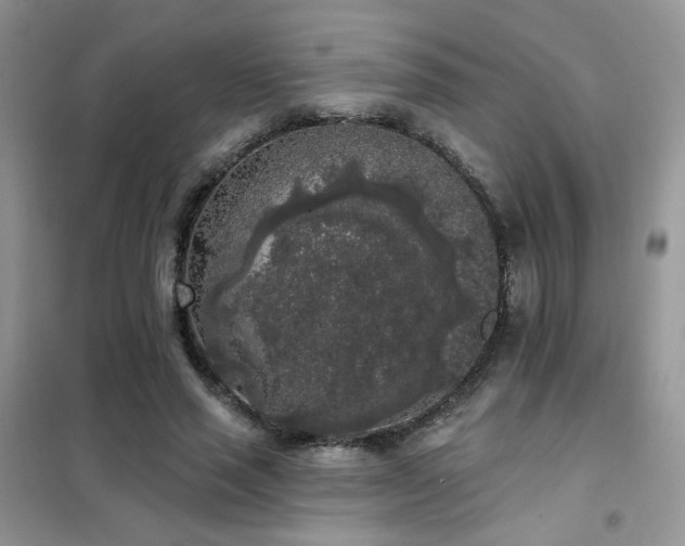 X0000102350637200808011205