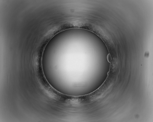 X0000102350639200808011205