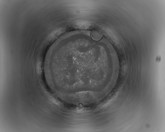 X0000102350641200808011205