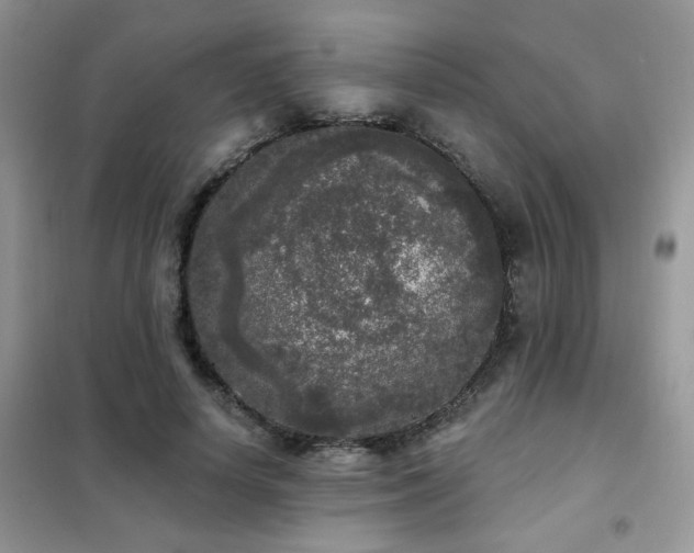 X0000102350642200808011205