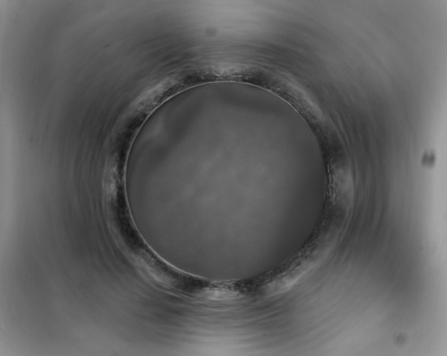 X0000102350644200808011205