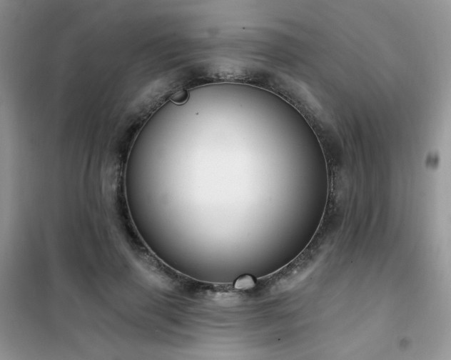 X0000102350645200808011205