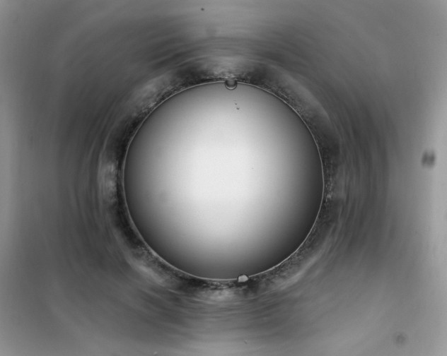 X0000102350646200808011205