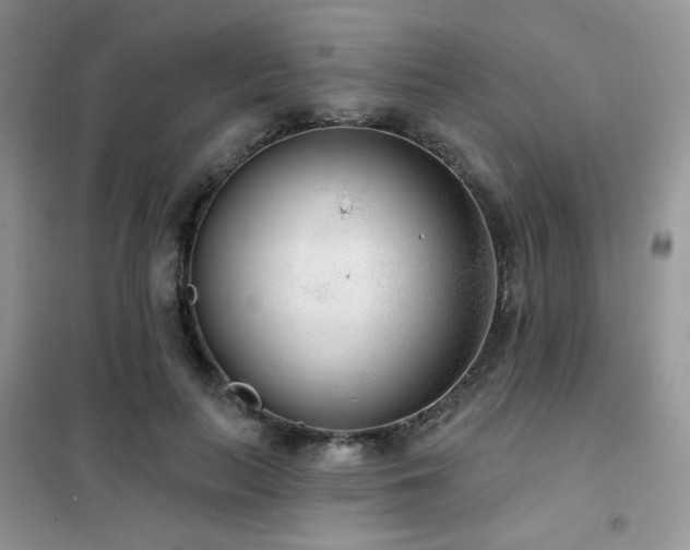 X0000102350647200808011205