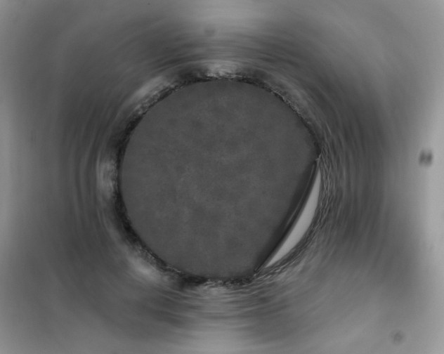 X0000102350648200808011205