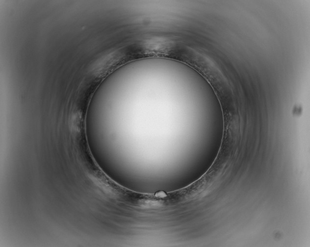 X0000102350649200808011205