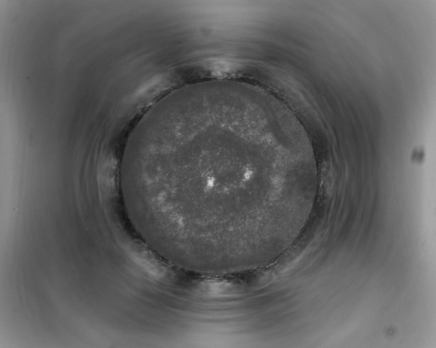 X0000102350650200808011205