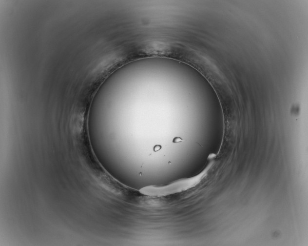 X0000102350652200808011205