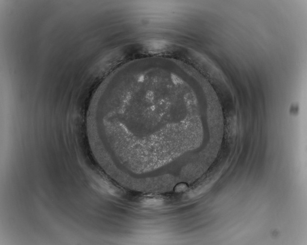 X0000102350653200808011205