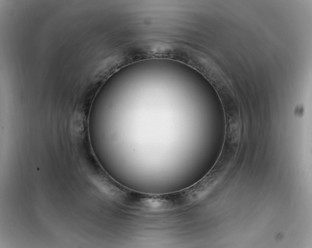 X0000102350654200808011205