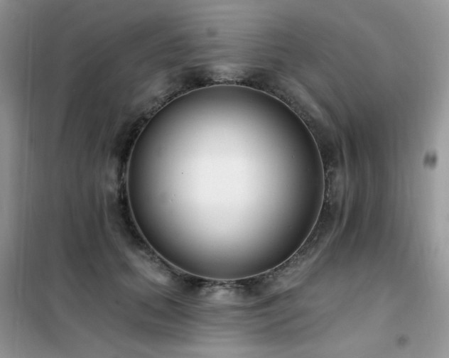 X0000102350655200808011205