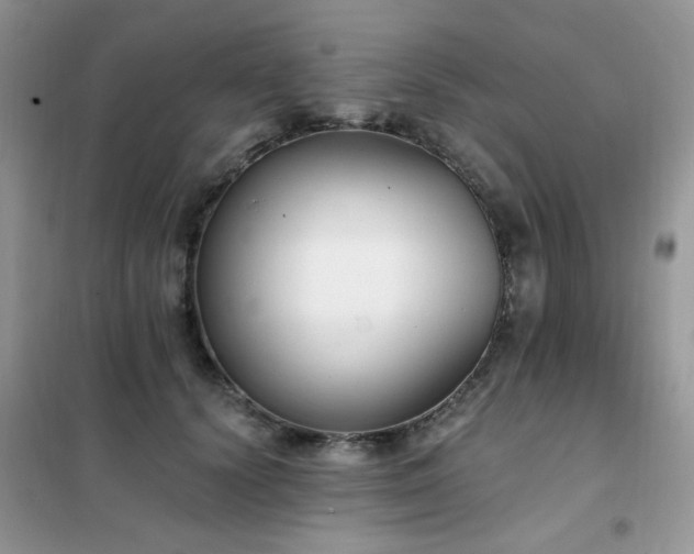 X0000102350656200808011205