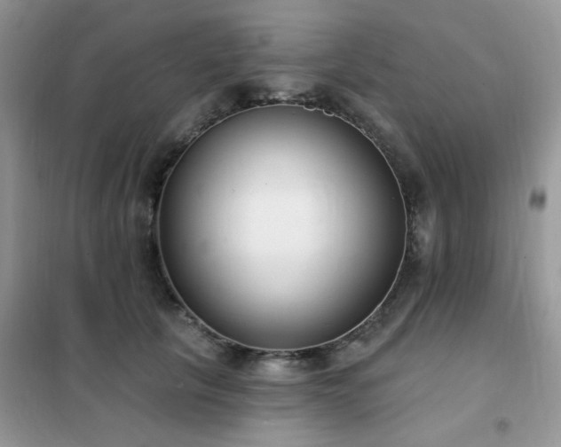 X0000102350657200808011205