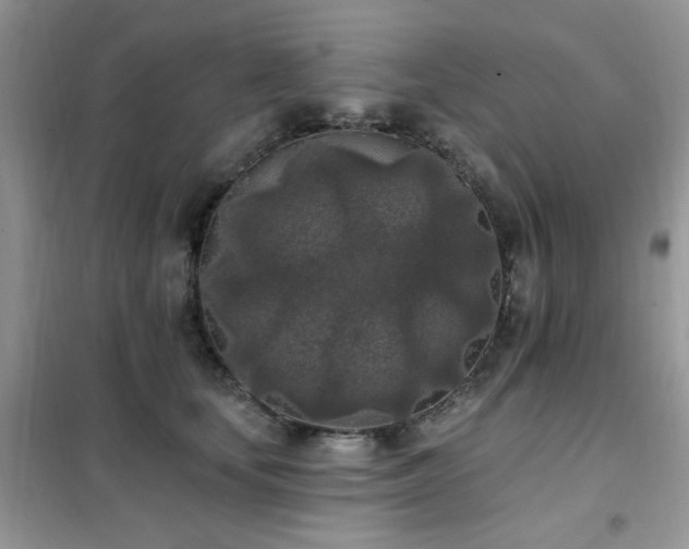 X0000102350659200808011205