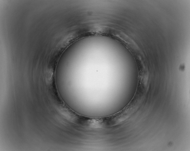 X0000102350660200808011205