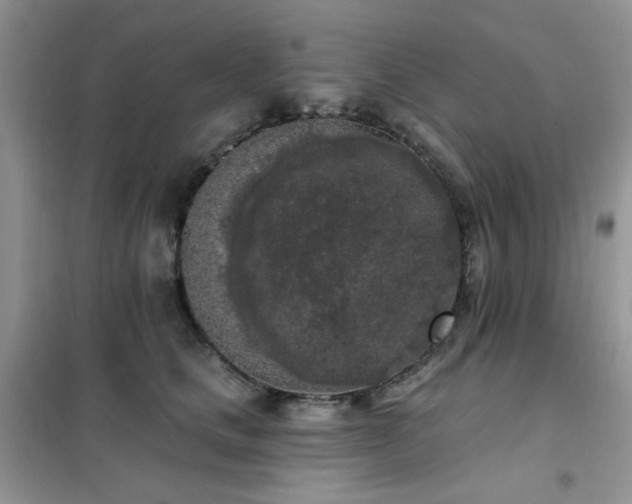 X0000102350661200808011205