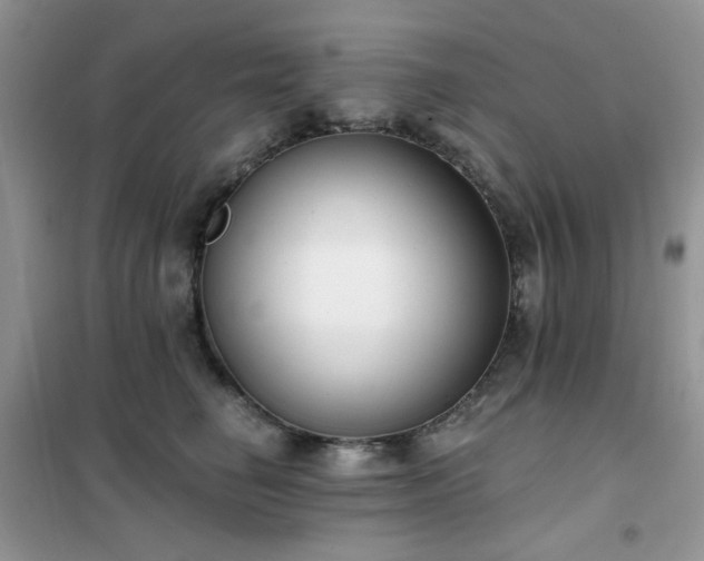 X0000102350662200808011205