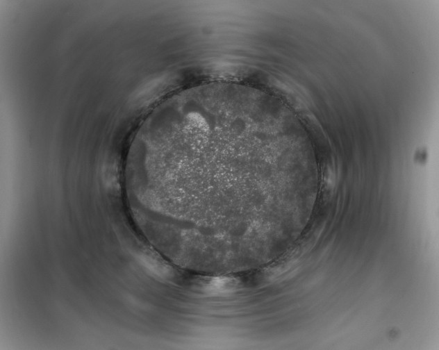 X0000102350663200808011205