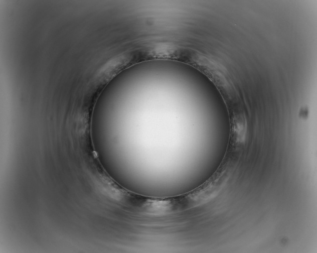 X0000102350665200808011205