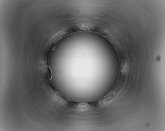 X0000102350666200808011205