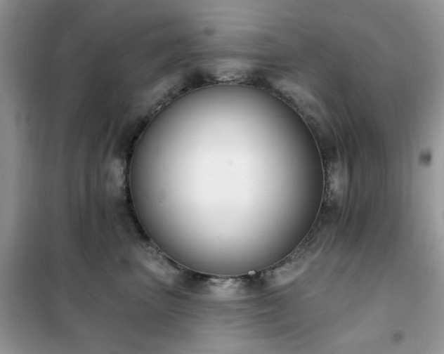 X0000102350667200808011205