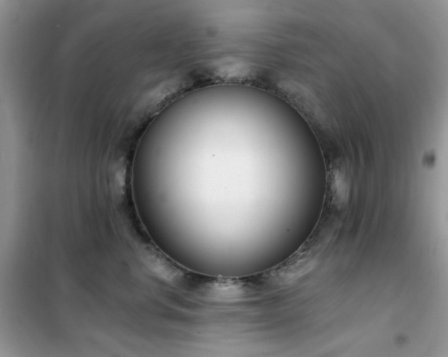 X0000102350668200808011205