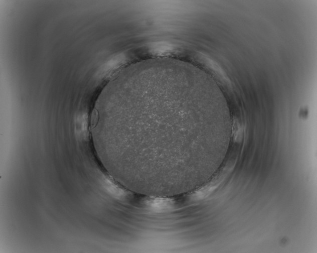 X0000102350670200808011205